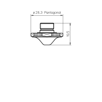 PRIMA I.®NOZZLE TIP PENT 3.0CHROME PLATED